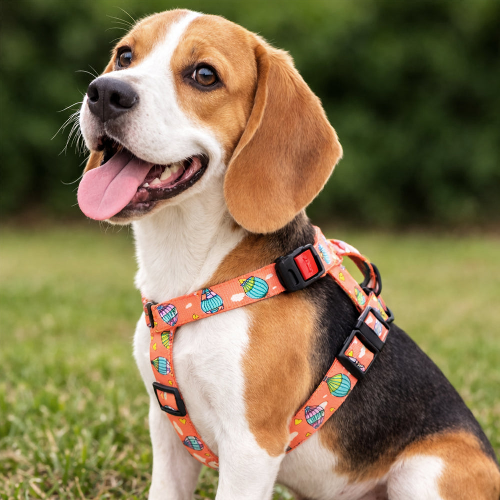 Hot Air Balloon H Harness