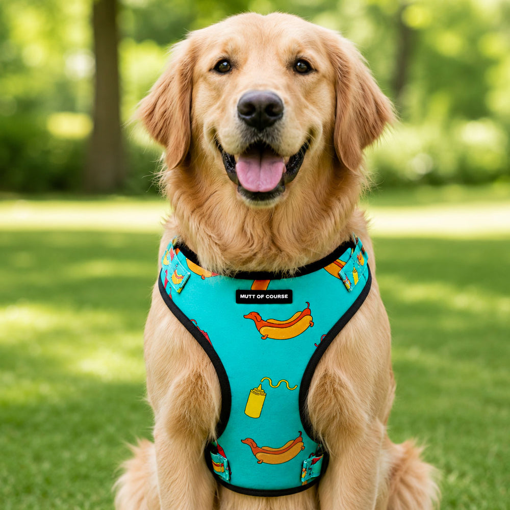 Hot Dog Vest Harness
