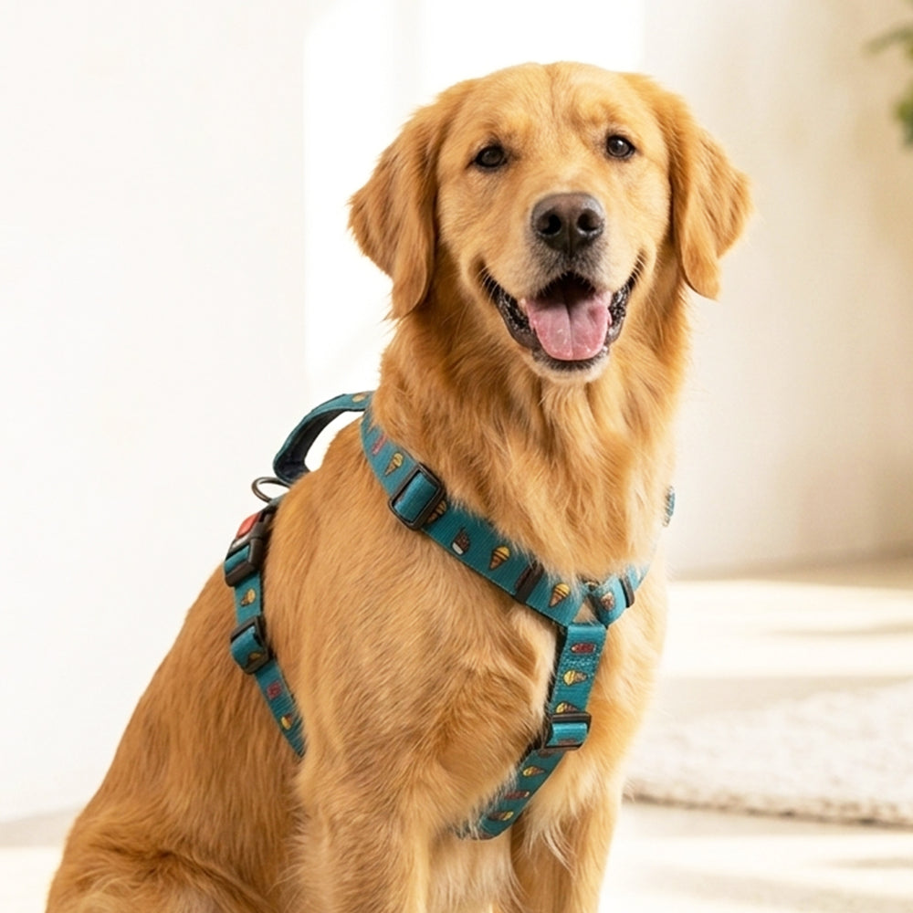 Pupsicle H Harness