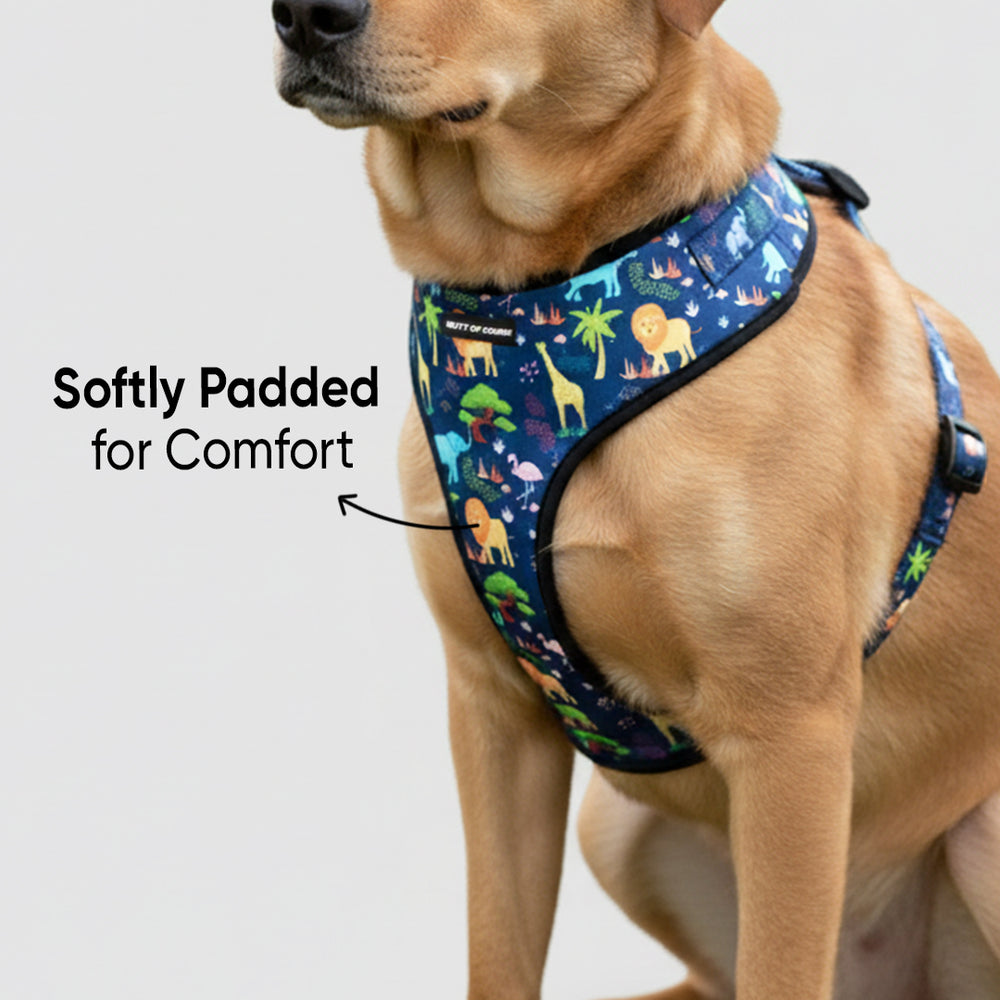 Jungle Vest Harness For Dogs