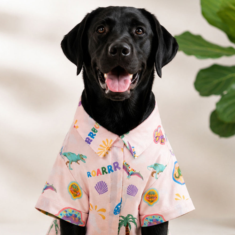 Jurassic Roarr Dog Shirt