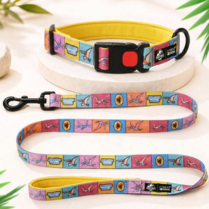 Jurassic Flying Dinos Dog Collar & Leash Set | Pterosaur Adventure Walking Set for Dogs