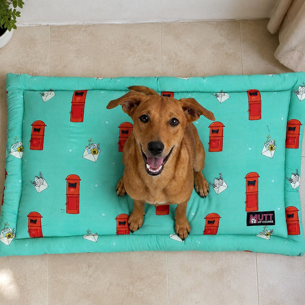 Letter Borks Mat