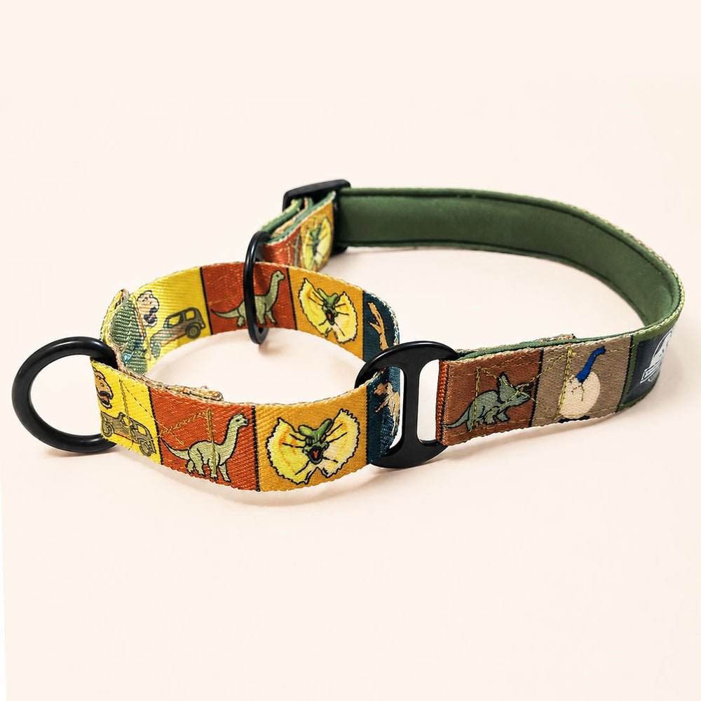 Jurassic Classic Dog Martingale Collar | Dinosaur Training Collar for Dogs