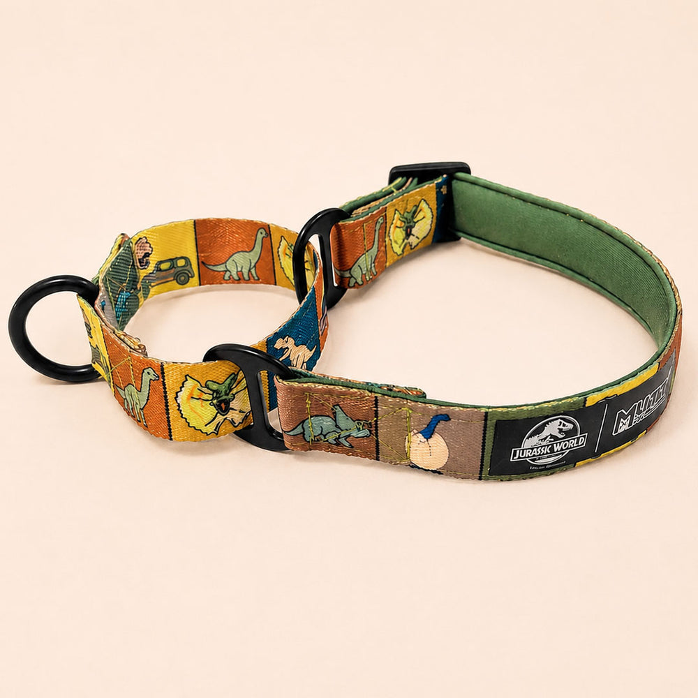 Jurassic Classic Dog Martingale Collar | Dinosaur Training Collar for Dogs