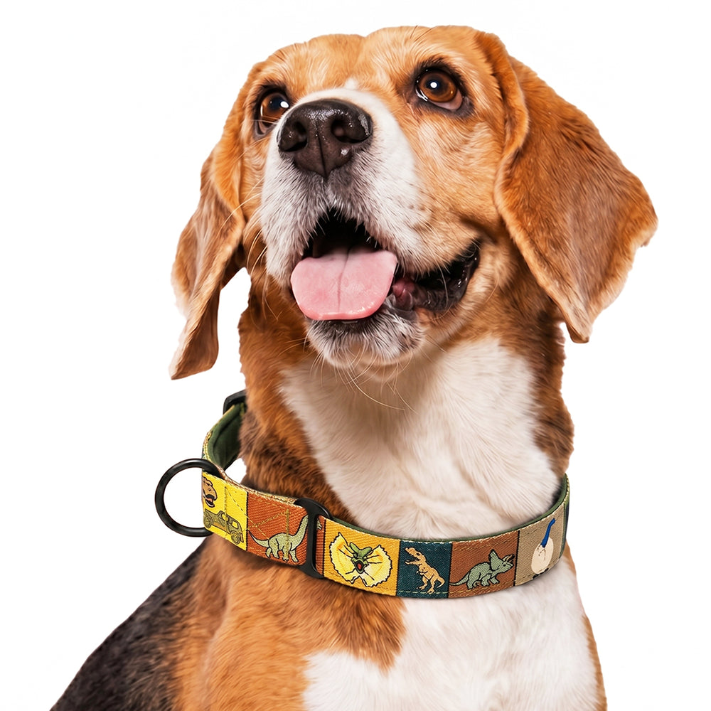 Jurassic Classic Dog Martingale Collar | Dinosaur Training Collar for Dogs