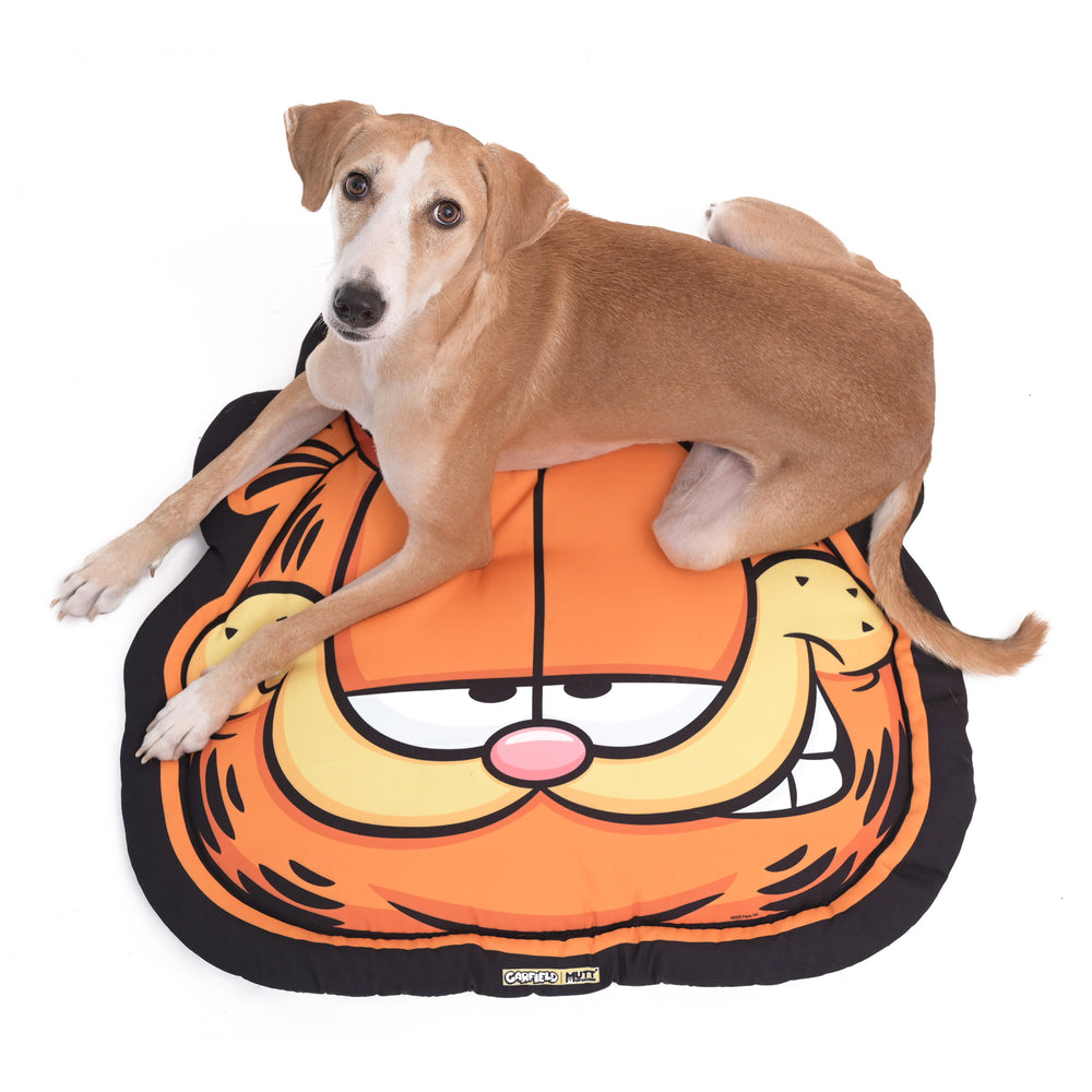 Garfield Cattitude Face Mat For Pets