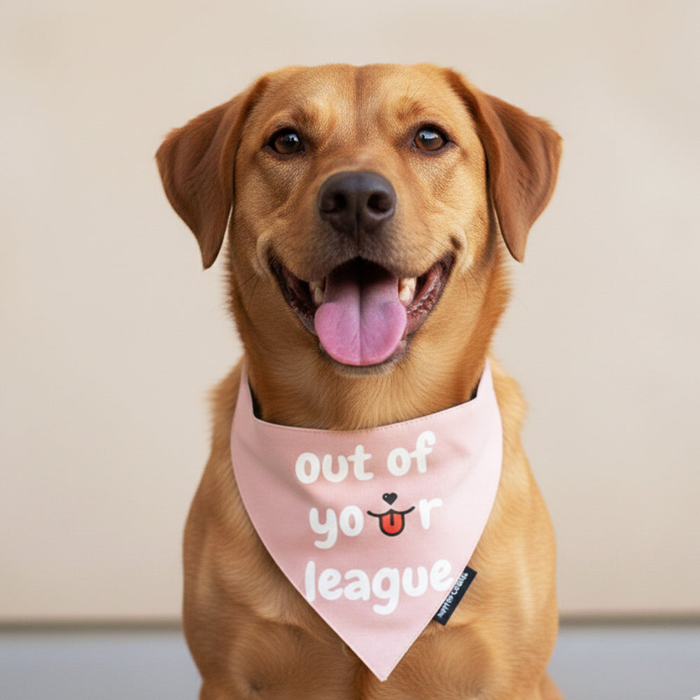 Out of Your League Bandana