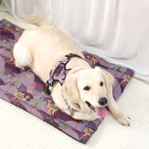 Royal Indian Camel Mat