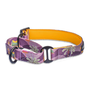 Royal Indian Camel Martingale Collar
