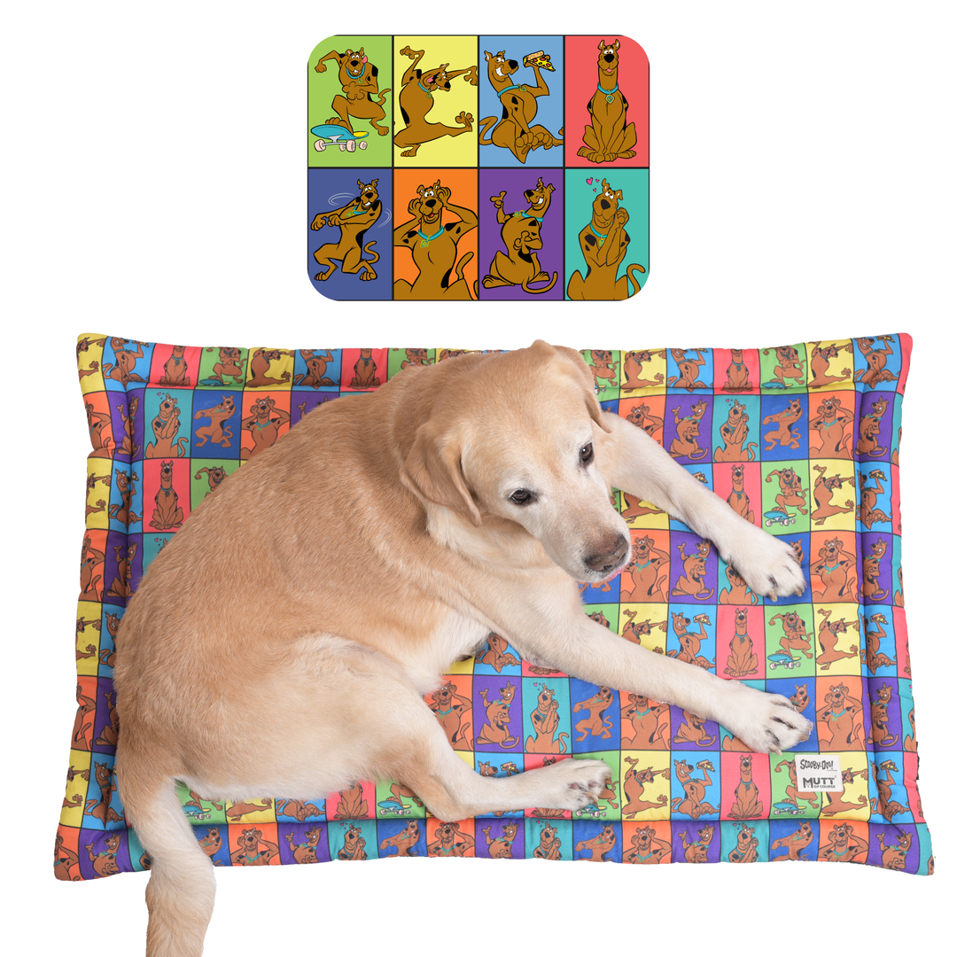 Scooby Doo Beds And Mats Mutt of Course