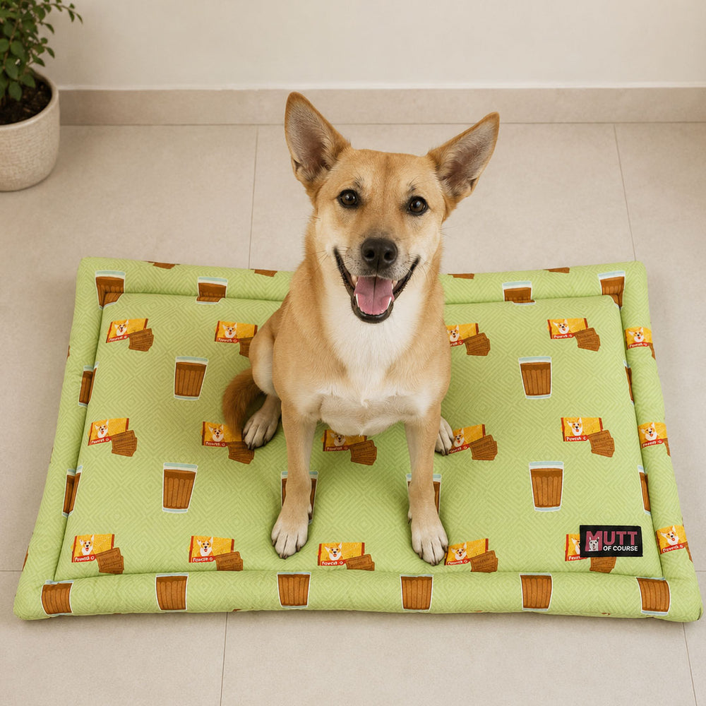 Paw-rle G Mat