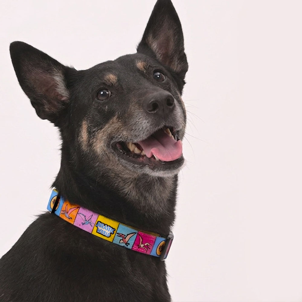 Jurassic Flying Dinos Dog Collar & Leash Set | Pterosaur Adventure Walking Set for Dogs
