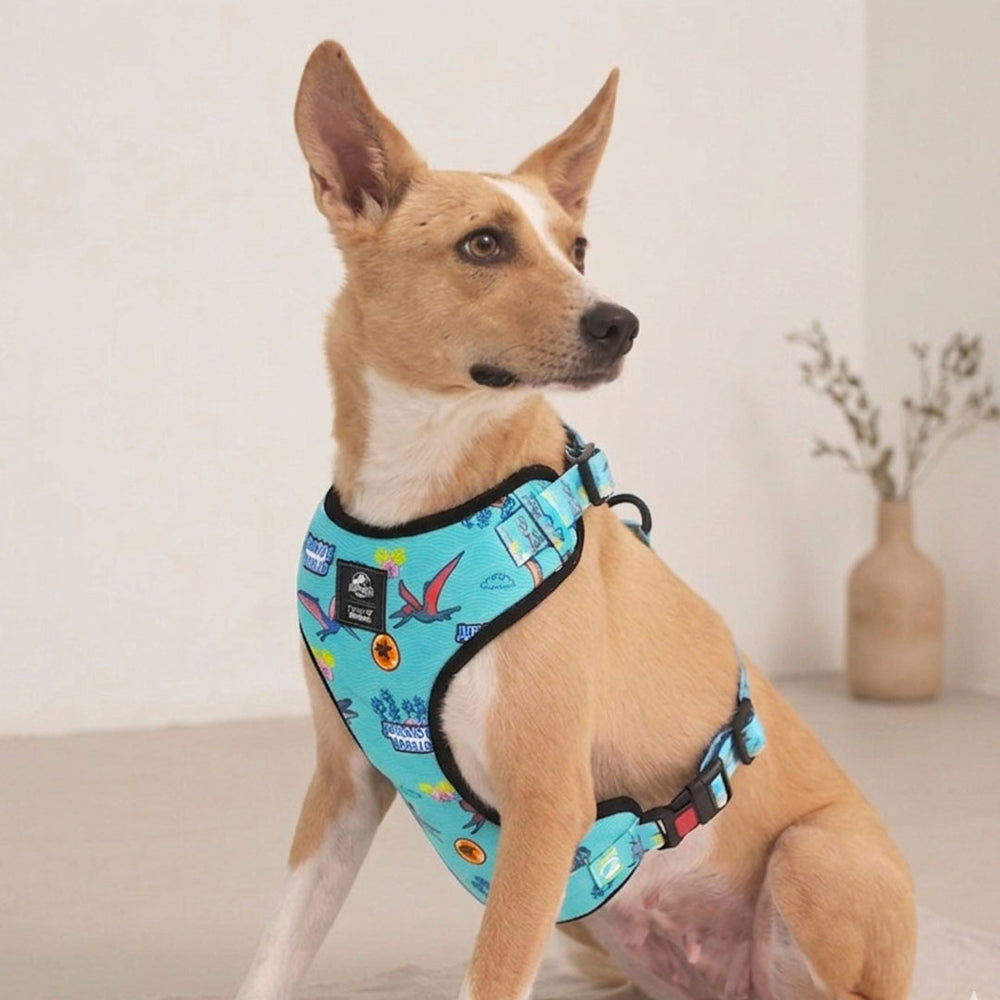 Jurassic Marine Dinos Dog Harness & Leash Set |Ocean Dinosaur Adventure Walking Set for Dogs