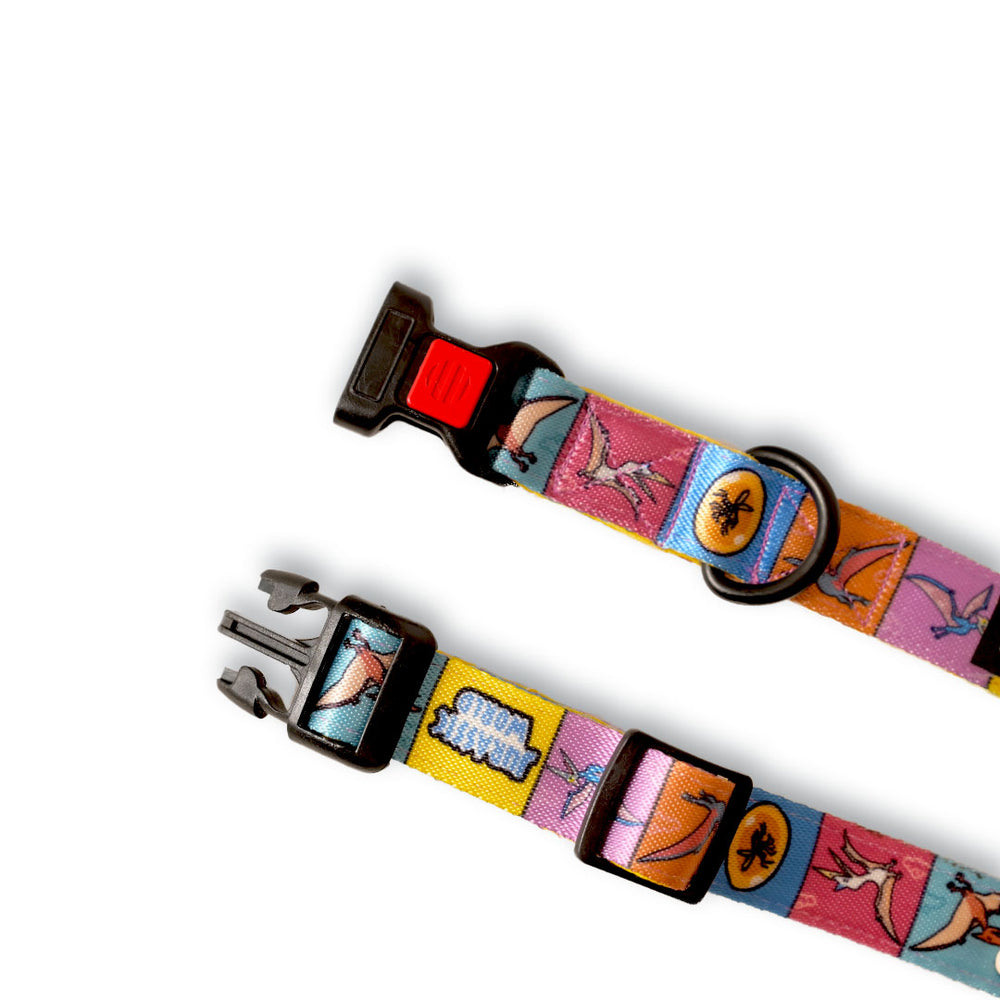 Jurassic Flying Dinos Dog Collar & Leash Set | Pterosaur Adventure Walking Set for Dogs