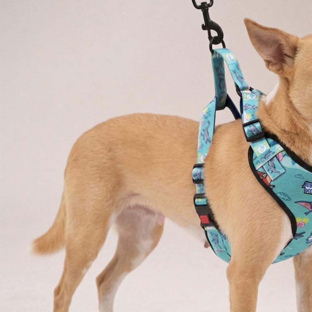 Jurassic Marine Dinos Dog Harness & Leash Set |Ocean Dinosaur Adventure Walking Set for Dogs