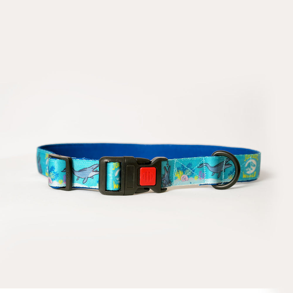 Jurassic Marine Dinos Dog Collar & Leash Set |Ocean Dinosaur Adventure Set for Dogs