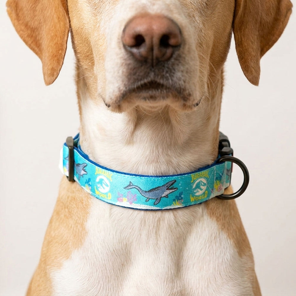 Jurassic Marine Dinos Dog Collar & Leash Set |Ocean Dinosaur Adventure Set for Dogs