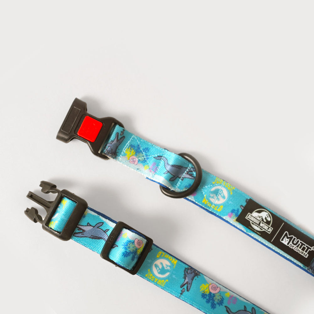 Jurassic Marine Dinos Dog Collar & Leash Set |Ocean Dinosaur Adventure Set for Dogs