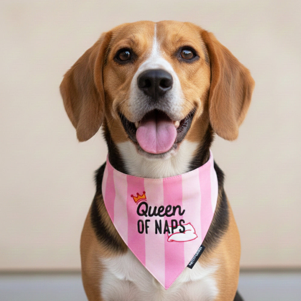 Queen of Naps Bandana