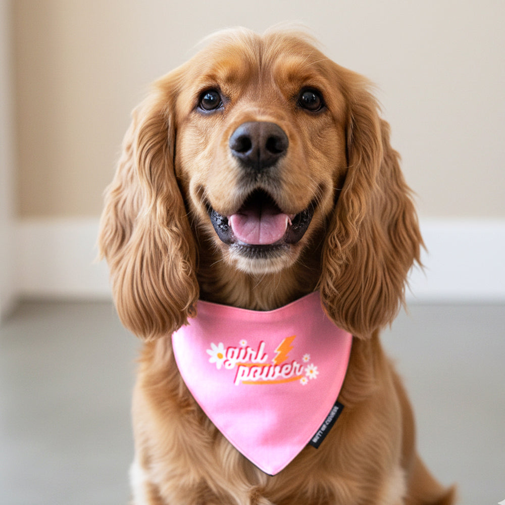 Girl Power Bandana