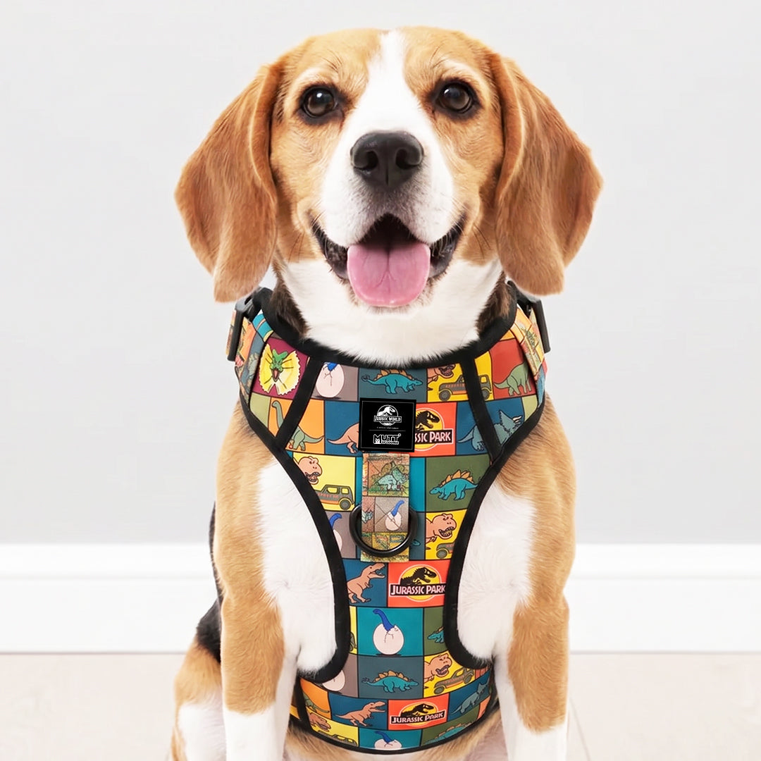Jurassic Classic Ruff N Tuff Dog Harness – Dinosaur Adventure Strength ...