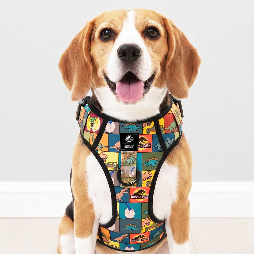 Jurassic Classic Ruff N Tuff Dog Harness – Dinosaur Adventure Strength Harness for Dogs
