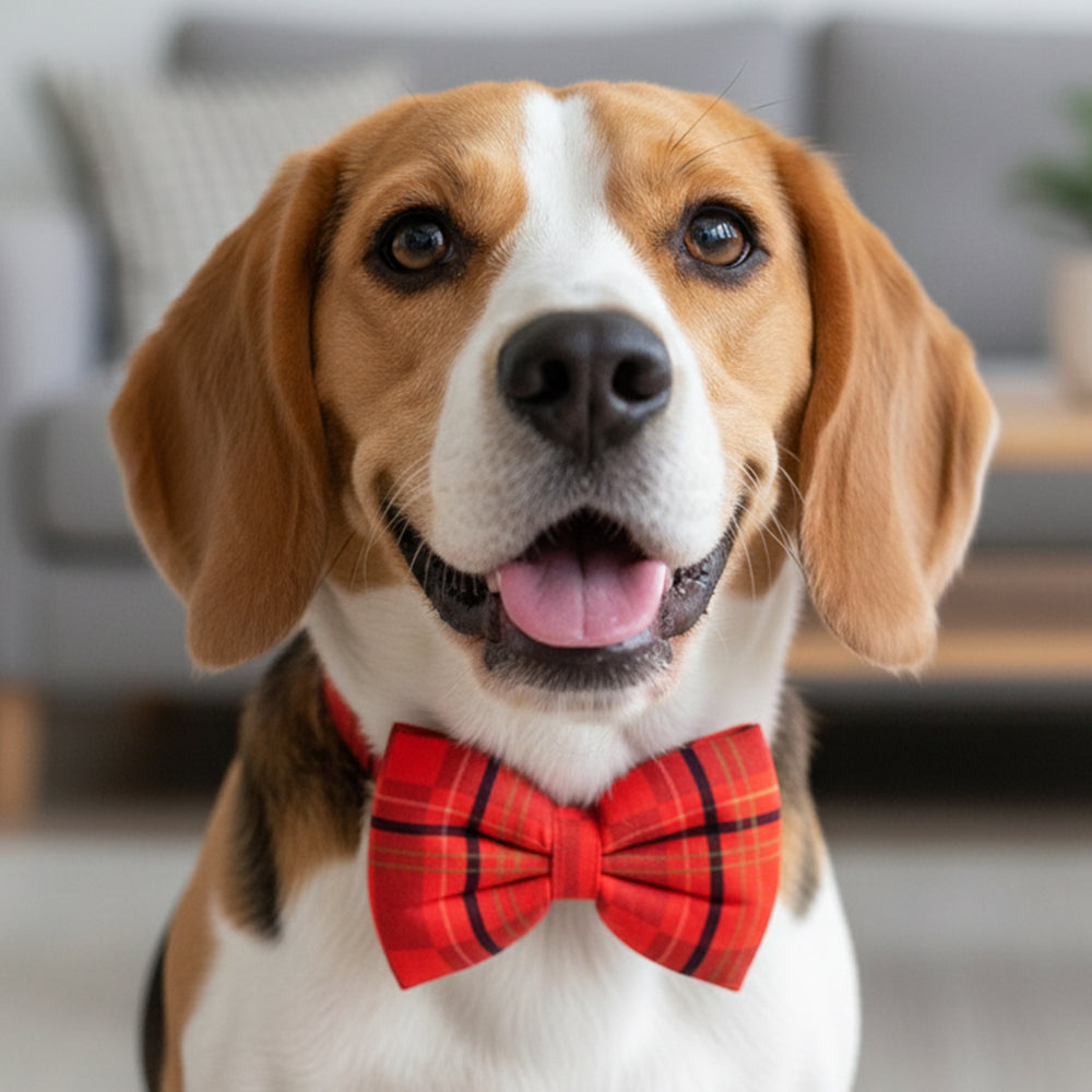 Red Plaid Bow Tie