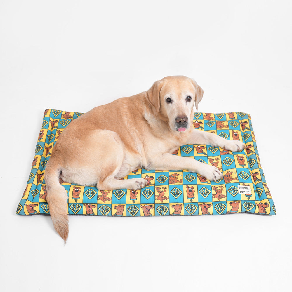 Scooby Dooby Doo Dog Mat Mutt of Course