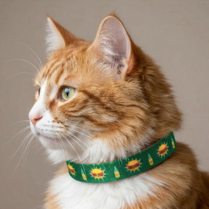 Snacc Time Collar For Cats