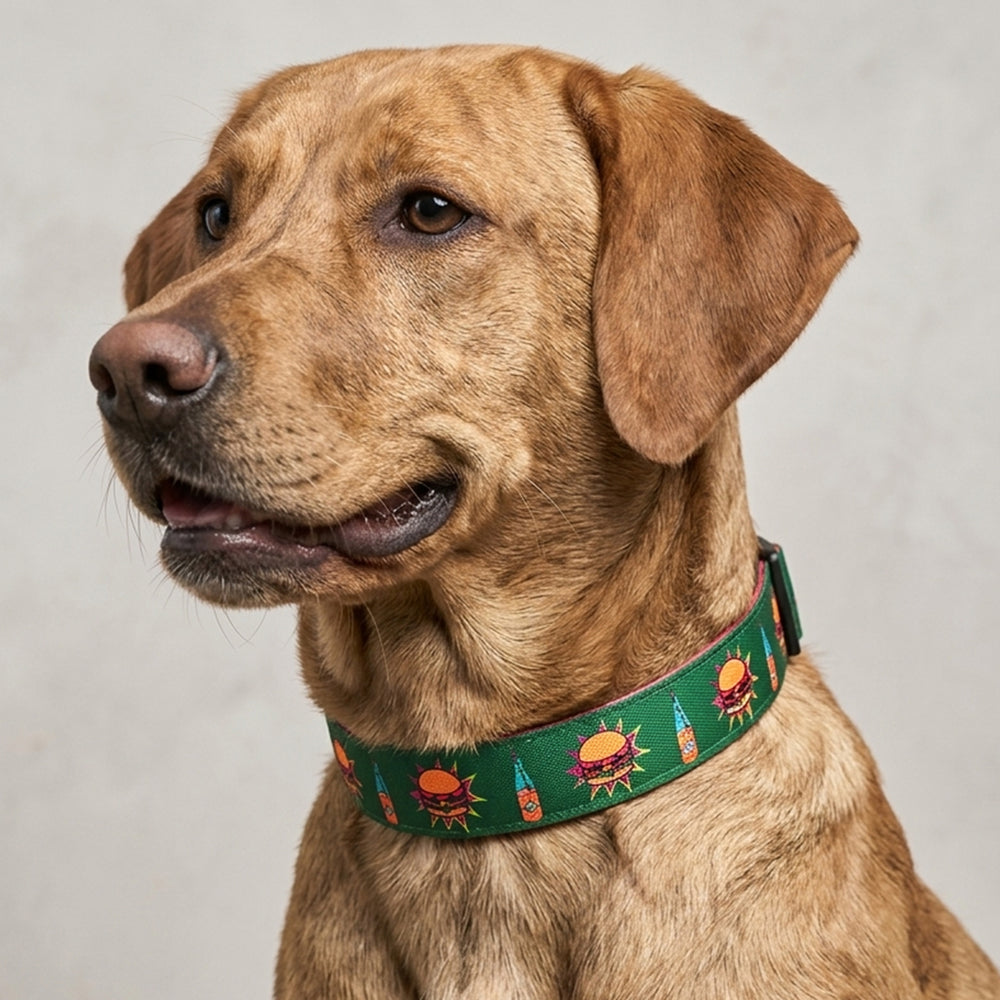 Snacc Time Collar For Dogs