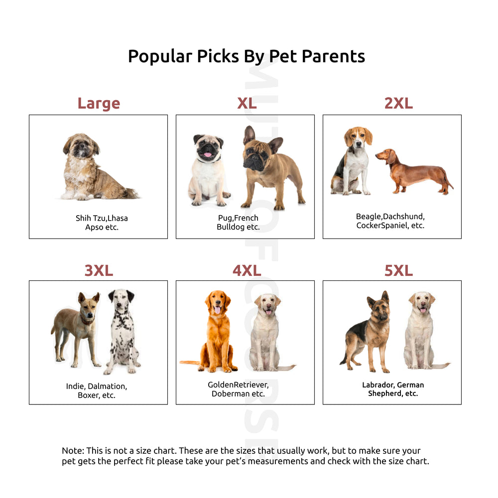 Matching Garden Green Dog Shirt & Dog Bow Tie  | Adjustable Bow Tie for Dogs | Breathable Fabric Shirt for Dogs