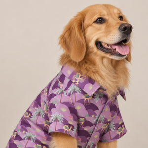 Royal Indian Camel Shirt
