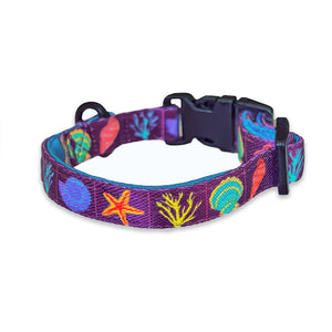 Stars N' Shells Collar For Cats