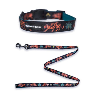 Royal Indian Tiger Collar + Leash Set