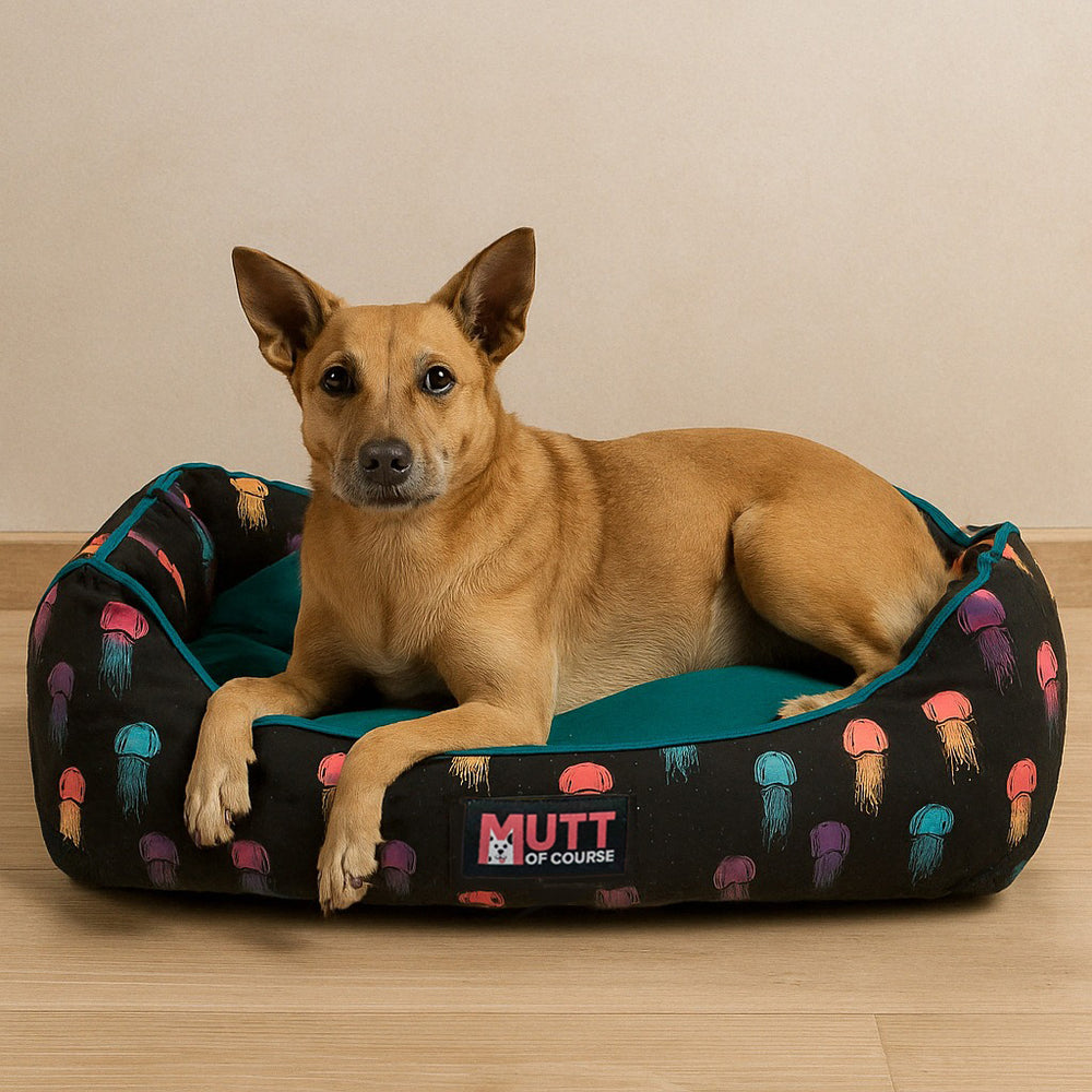 Jellyfish Lounger Bed
