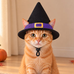 Cat Witch Hat