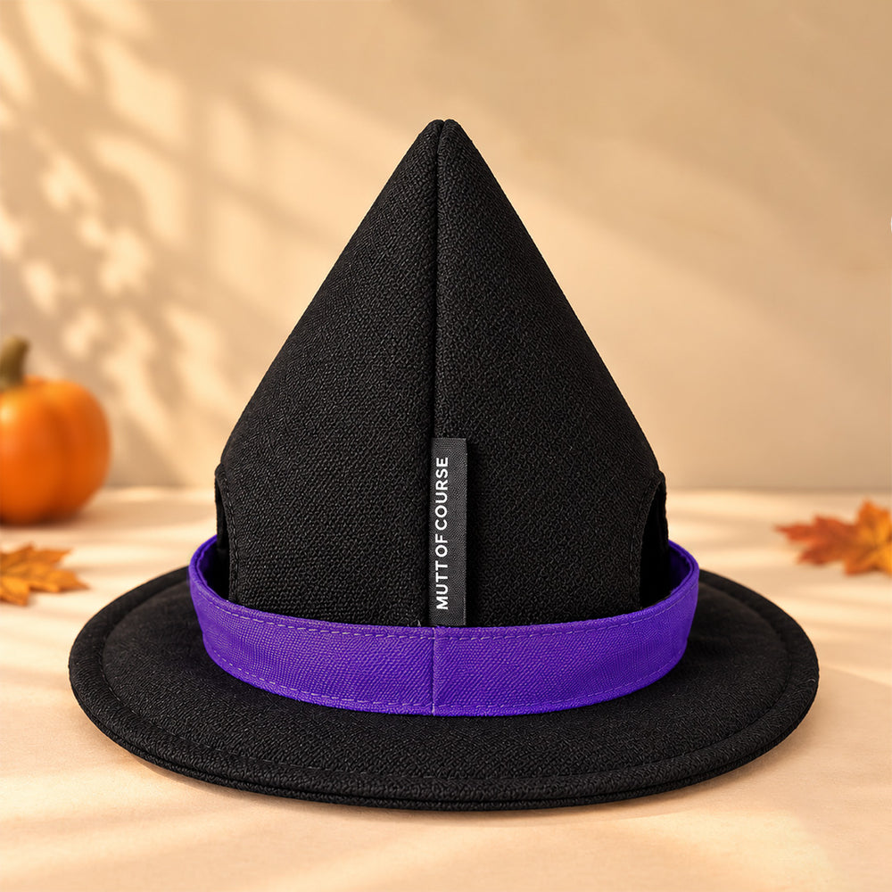 Cat Witch Hat