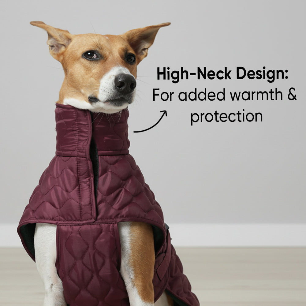 Burgundy Quilted Dog Jacket (Tested upto ~5°C)