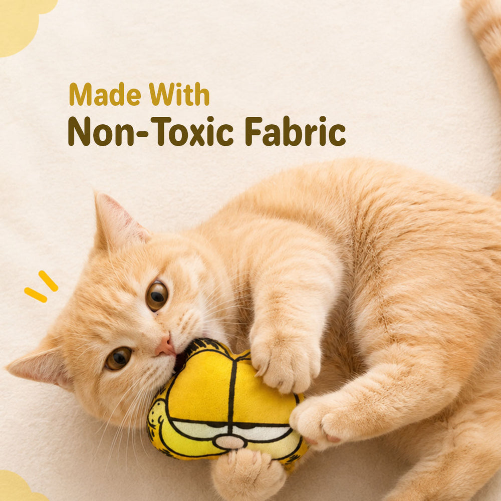 Garfield Catnip Plush Toy