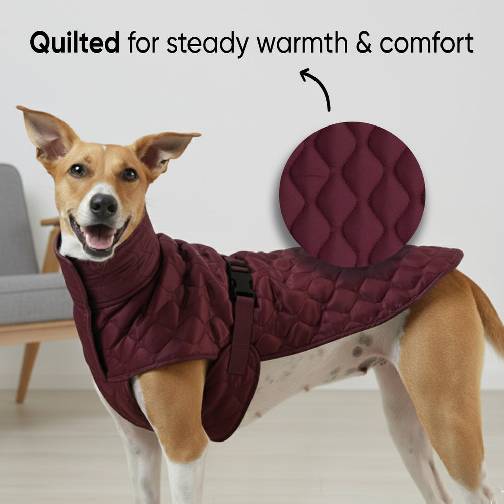 Burgundy Quilted Dog Jacket (Tested upto ~5°C)