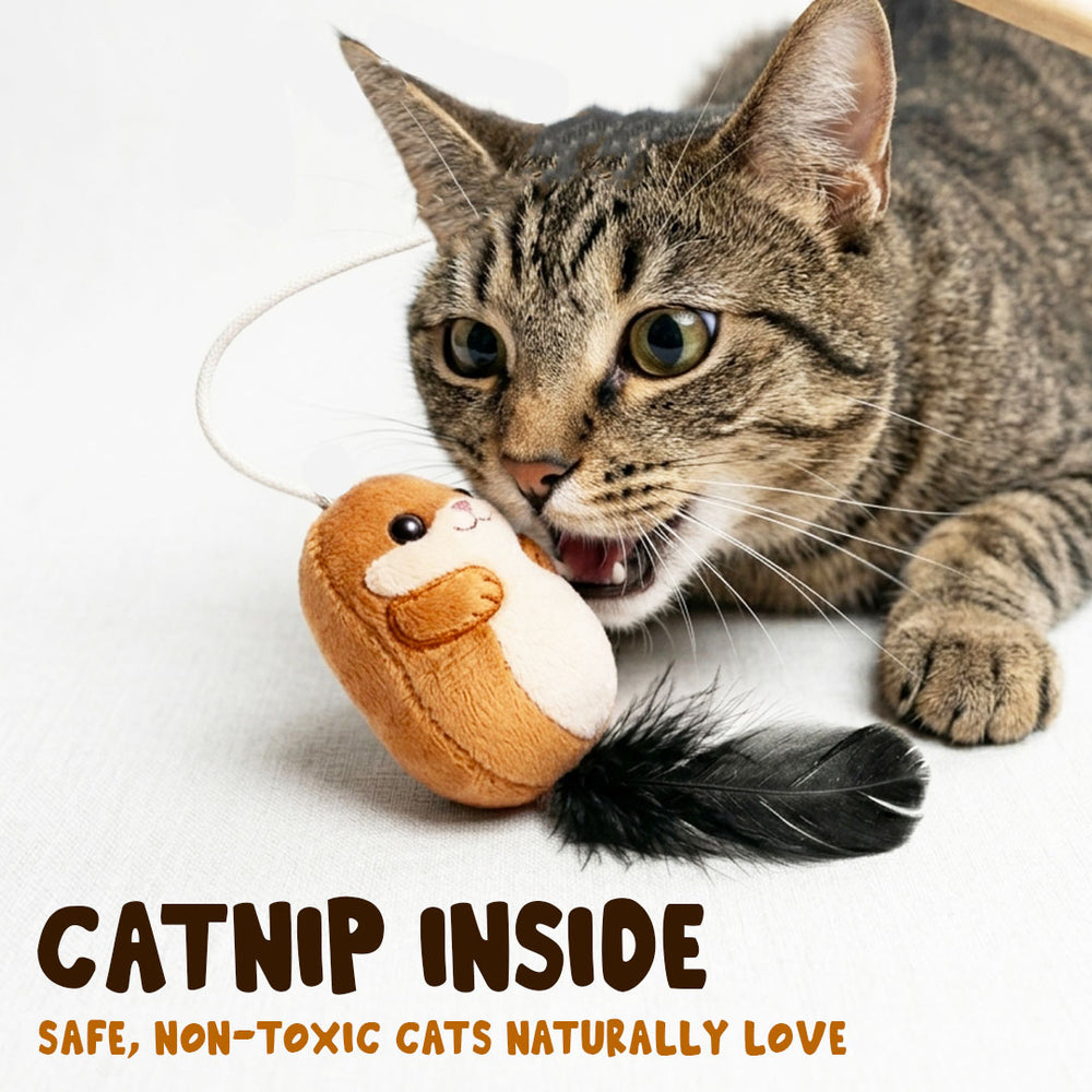 The Mutt Squirrel Cat Stick Toy