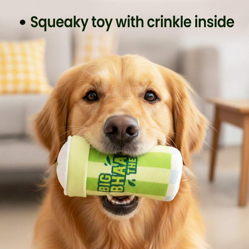 Big Bhaang Theory Squeaky Dog Toy