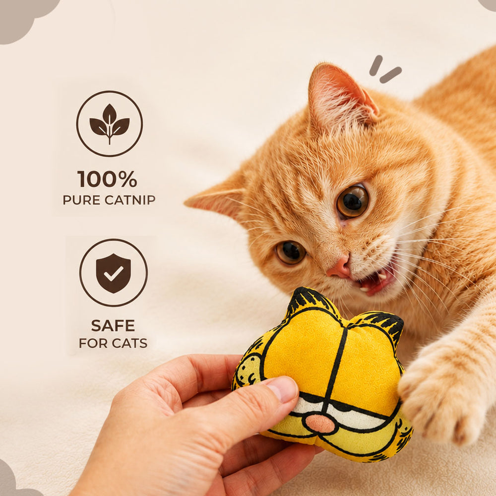 Garfield Catnip Plush Toy