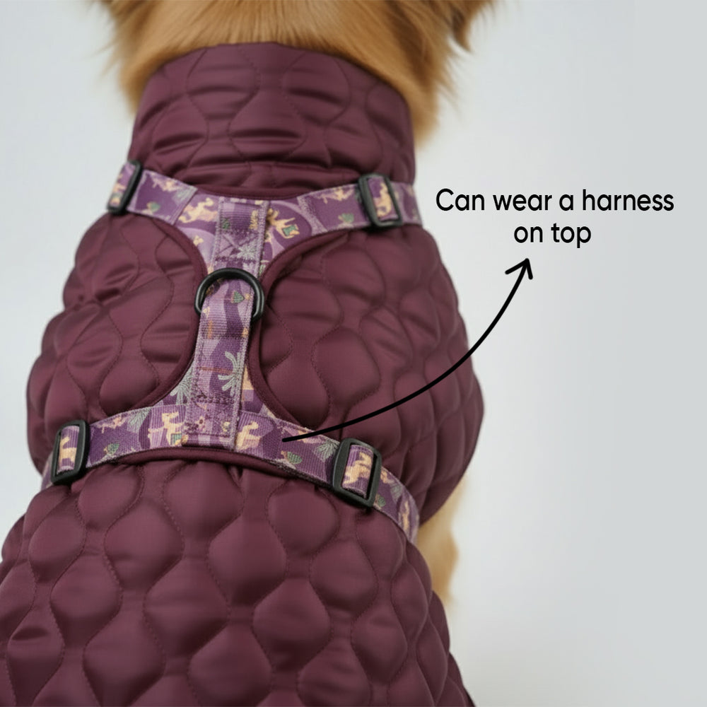 Burgundy Quilted Dog Jacket (Tested upto ~5°C)