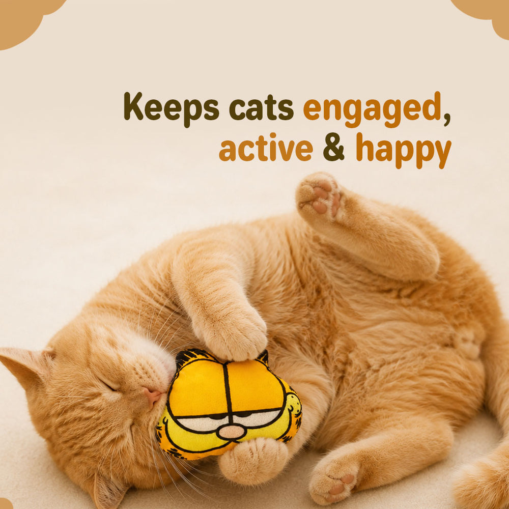 Garfield Catnip Plush Toy