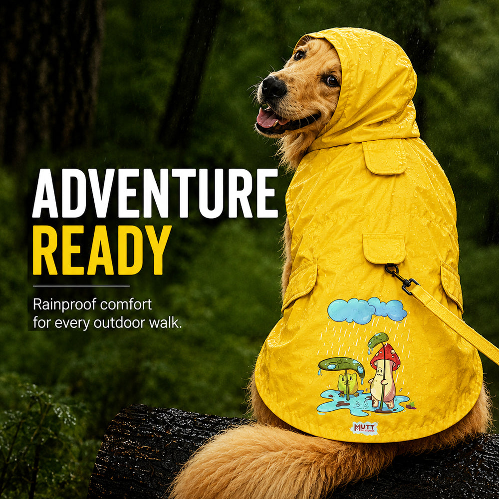 Drizzle Buddies | Waterproof Dog Raincoat with Hood & Mesh Lining  |  Collar & Harness Leash Opening | Yellow