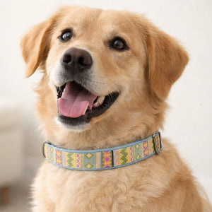 Aztec Denim Collar