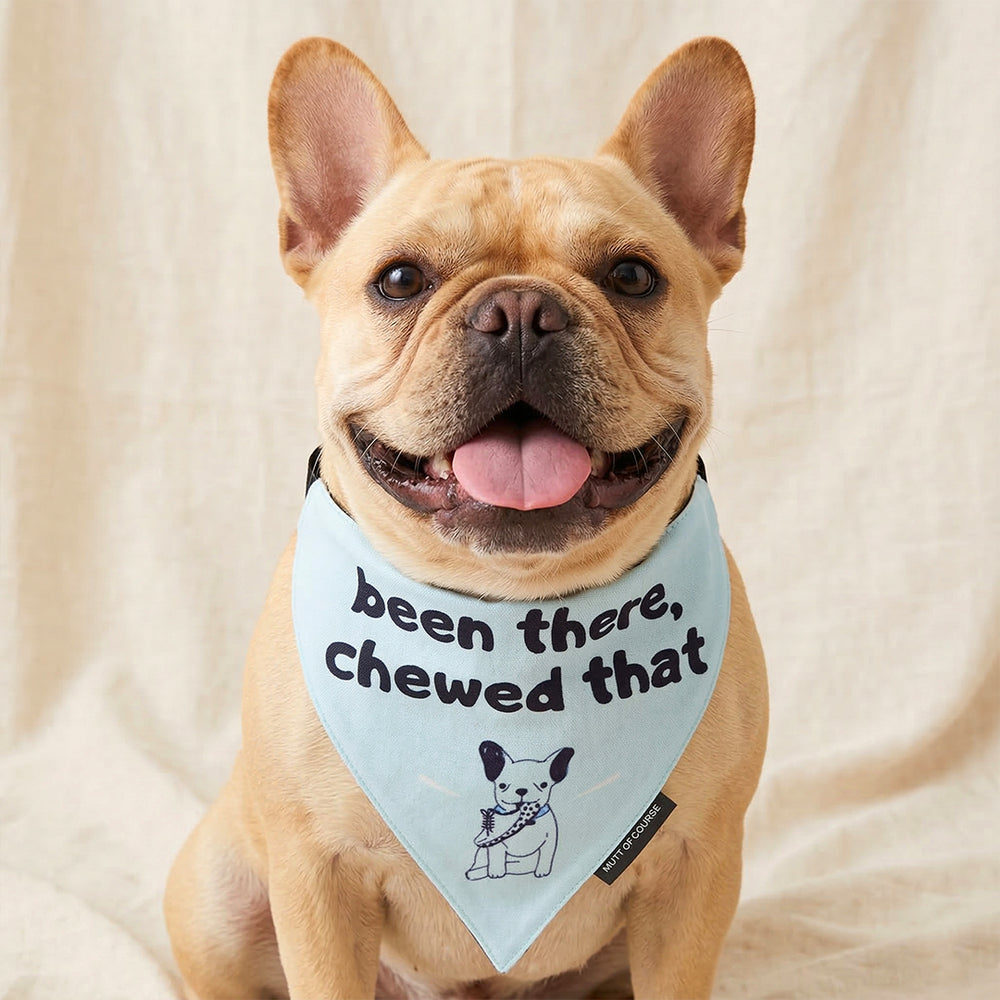 Been There Chewed That Bandana