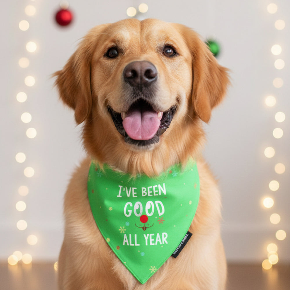 Been Good All Year Bandana